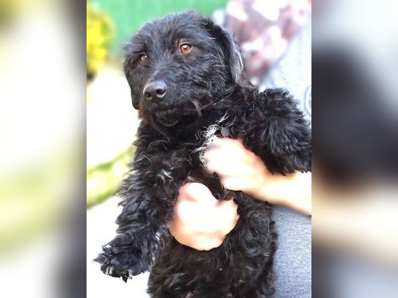 BEBA hofft auf Lebensretter