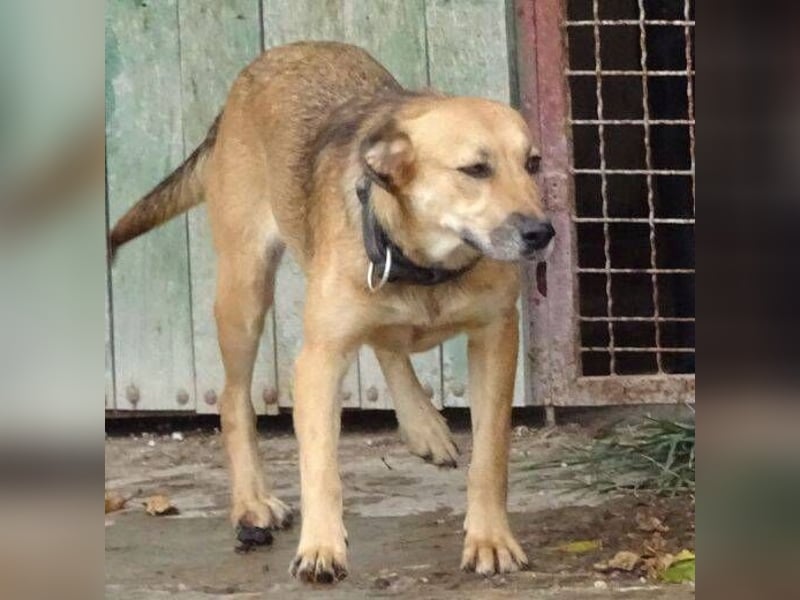 STELLA 2 ist sehr verschmust