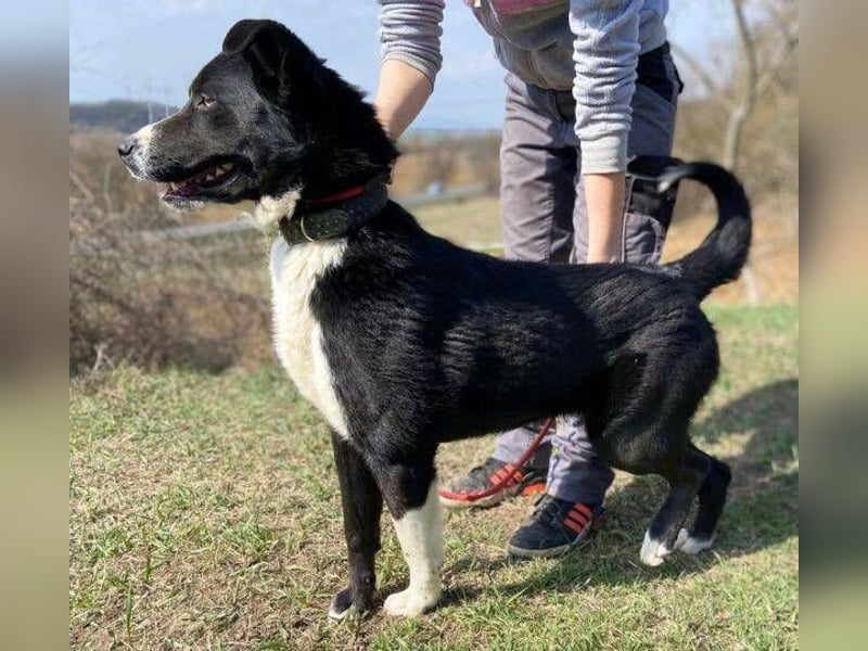 MANY wer tröstet ihn?