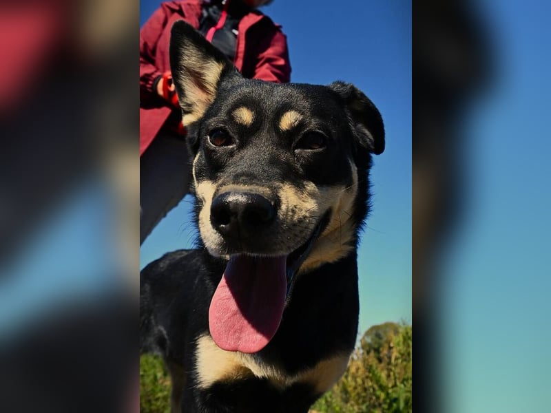 FREYA 3 ist lieb und verträglich