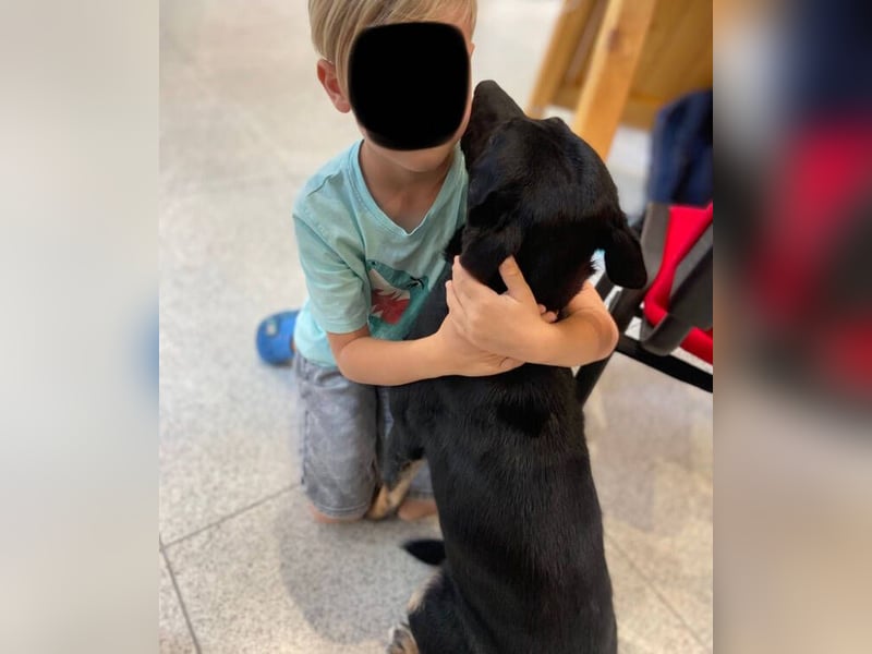 NERO ist eine Seele von Hund