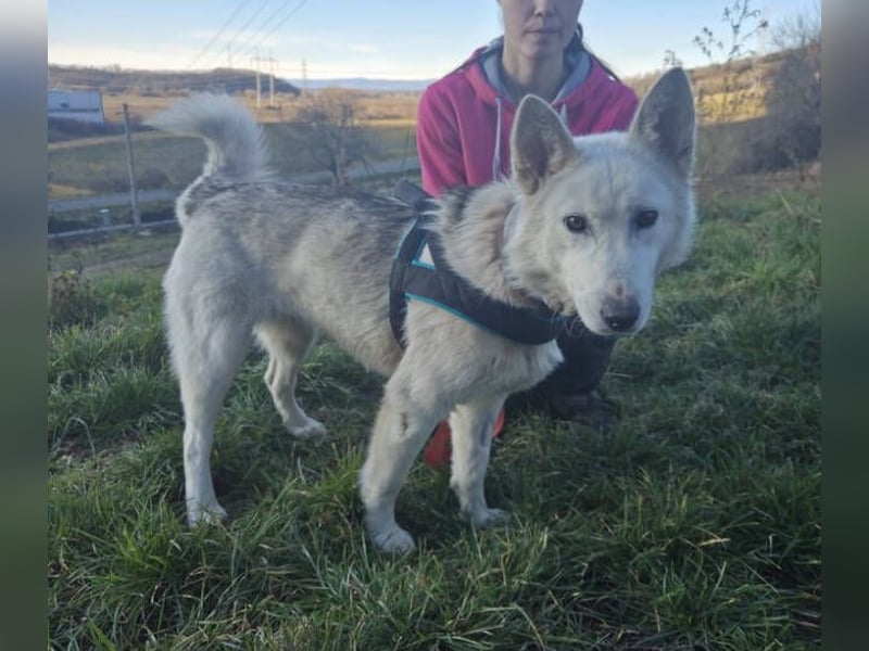 ADRIENA ist verspielt und freundlich