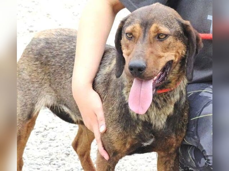 DONNIE braucht Lebensretter