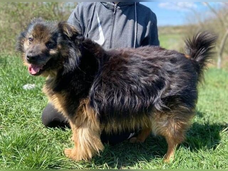 BUGY musste ein elendes Leben fristen