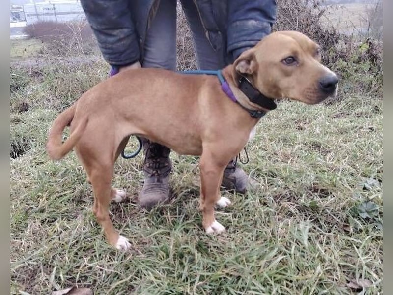 MAYA 2 musste an der Kette hängen