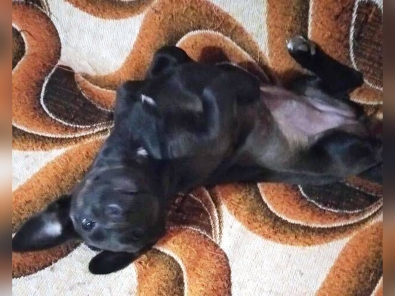 NINA 2 ist ei  Schnuckelchen