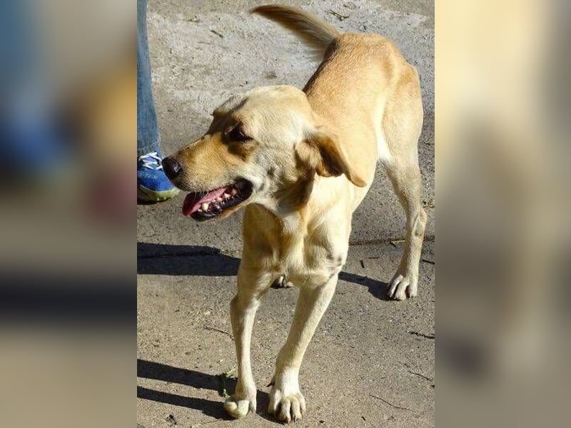 BAK schwebt in großer Gefahr