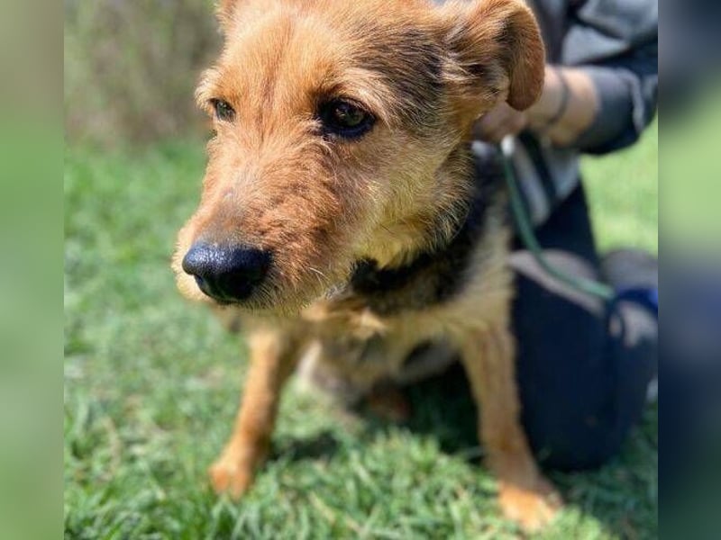 MILLI , wer zeigt ihr wie schön das Leben sein kann.?