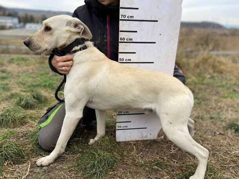 MAYLO braucht Liebe und Zuwendung