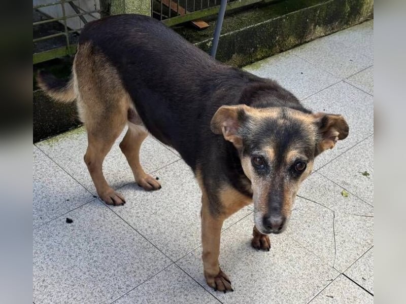 DALIA soll dort nicht sterben