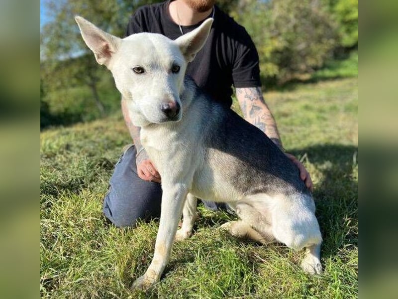 SVEN ist ein fröhlicher Jungspund