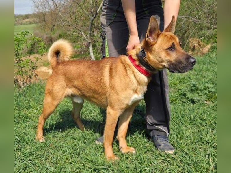 TOM 2 ist auf der Suche nach dem großen Glück