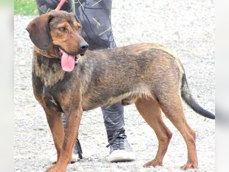 DONNIE braucht Lebensretter