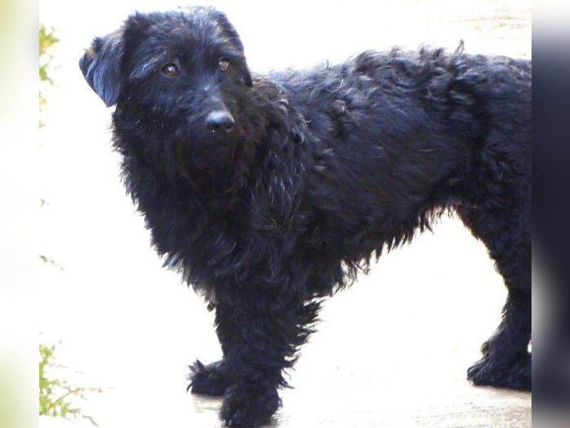 BEBA hofft auf Lebensretter