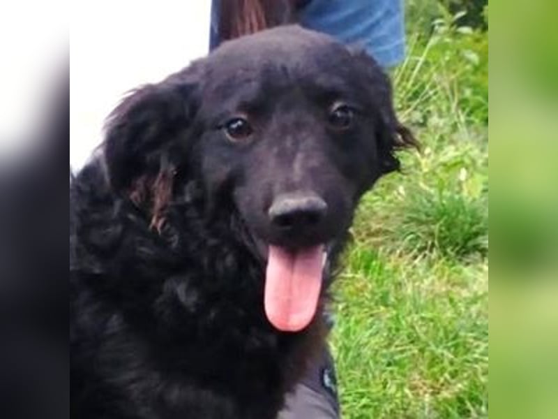 ALVARO war einsam und verlassen