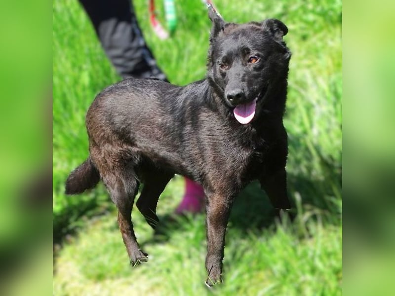 KLARA -wer ist ihr Retter in der Not?