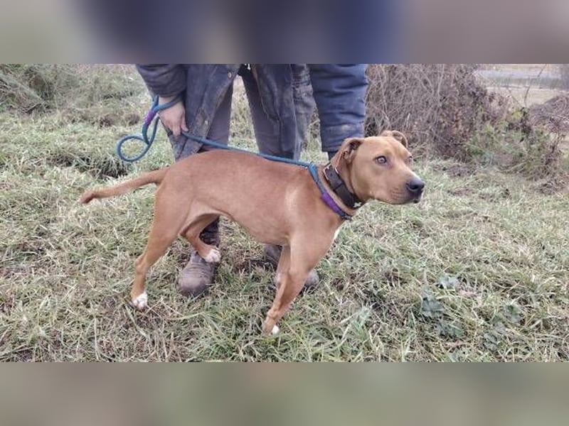 MAYA 2 musste an der Kette hängen