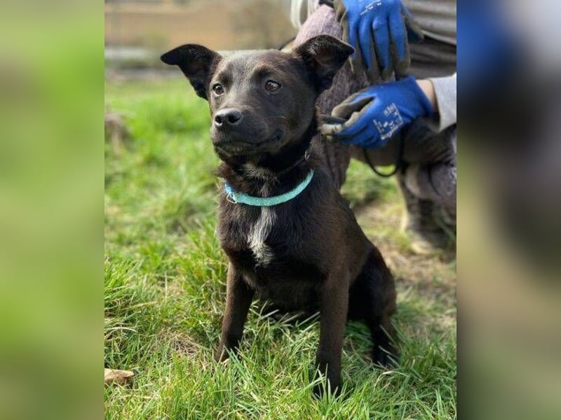 ZARA - wer zeigt ihr die Sonnenseite des Lebens?