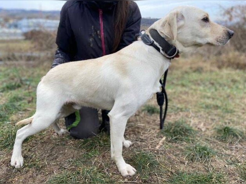 MAYLO braucht Liebe und Zuwendung