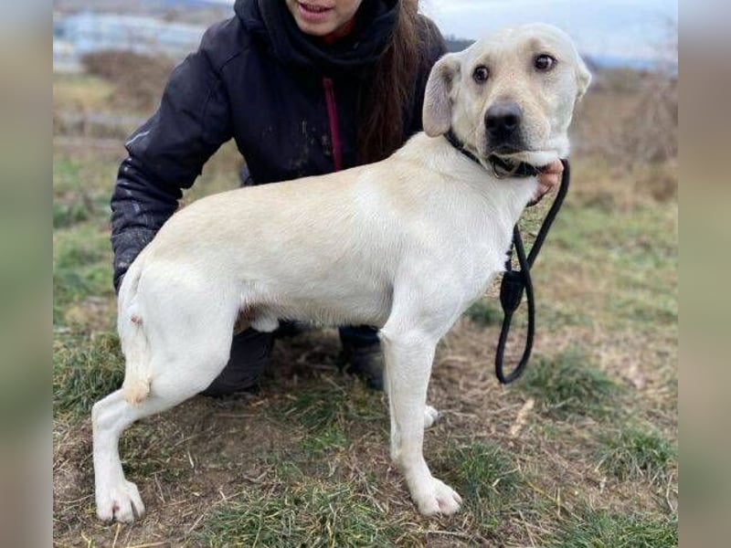 MAYLO braucht Liebe und Zuwendung