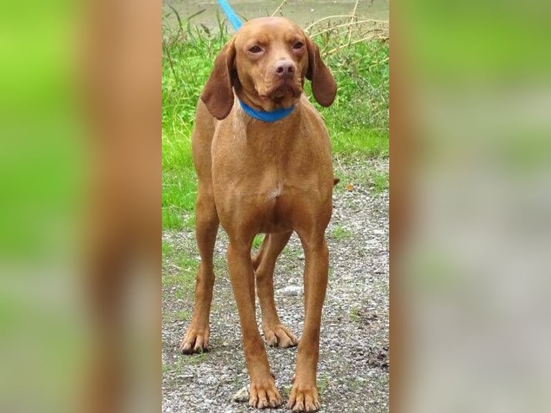 KERRY zittert um ihr Leben