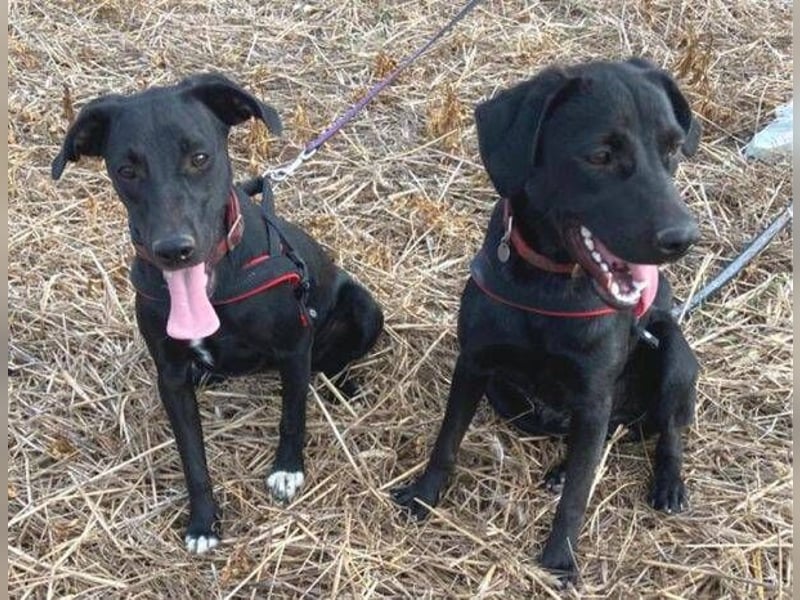 ELLA ist ganz zauberhaft