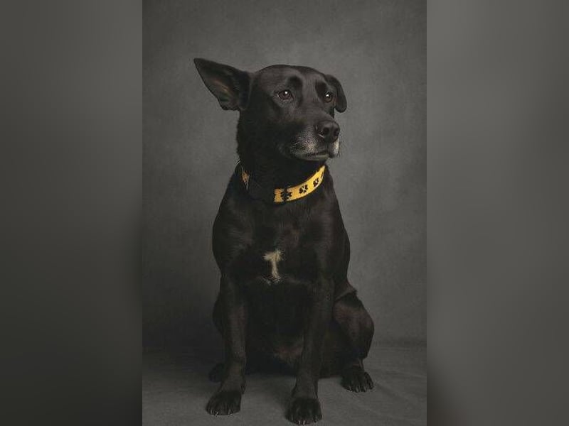 EBONY soll jetzt ein schönes Leben haben