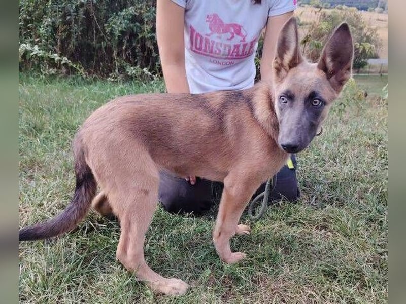 SADIE  ist superfreundlich