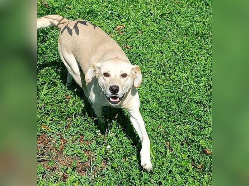 REXI ist ein Goldschatz REXI ist ein Goldschatz