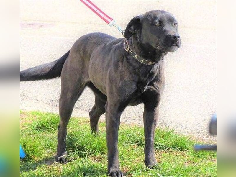 NIKA - Wer gibt ihr die Hoffnung zurück?