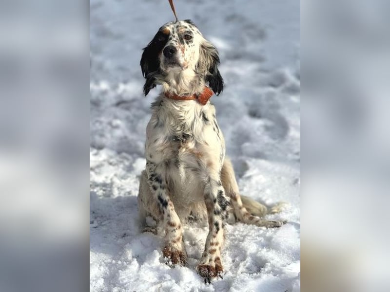 ZEYNA bildschön und sehr lieb