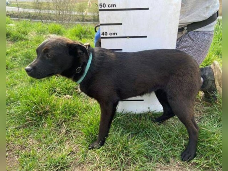 ZARA - wer zeigt ihr die Sonnenseite des Lebens?