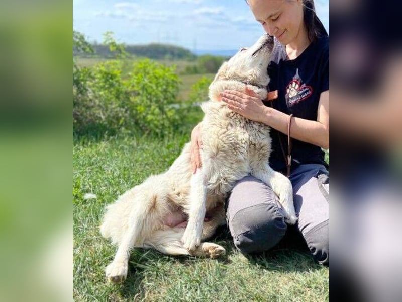 BETSY ist ein fröhliches liebes Hundemädchen