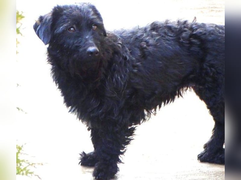 BEBA hofft auf Lebensretter