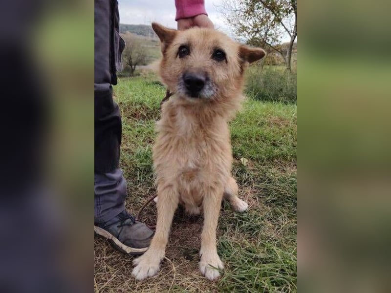 ELZA 2 ist super nett und freundlich