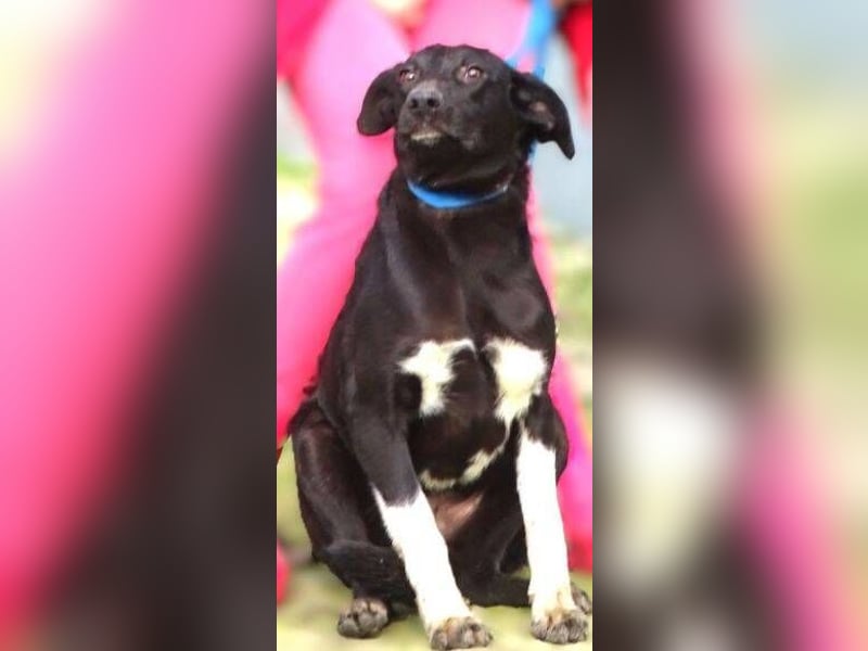 LULU wäre so gerne Teil einer Familie