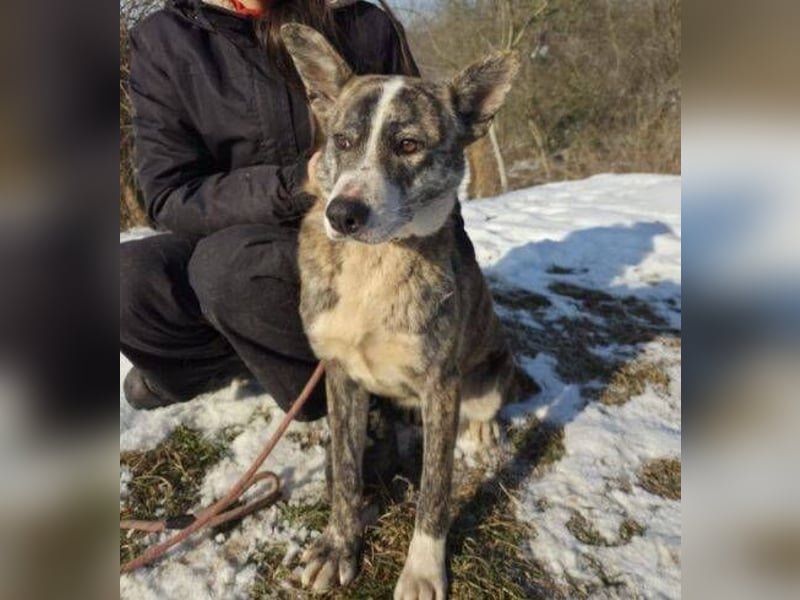 JUDY ist eine Schönheit