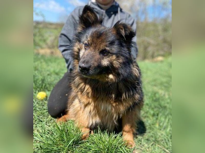 BUGY musste ein elendes Leben fristen