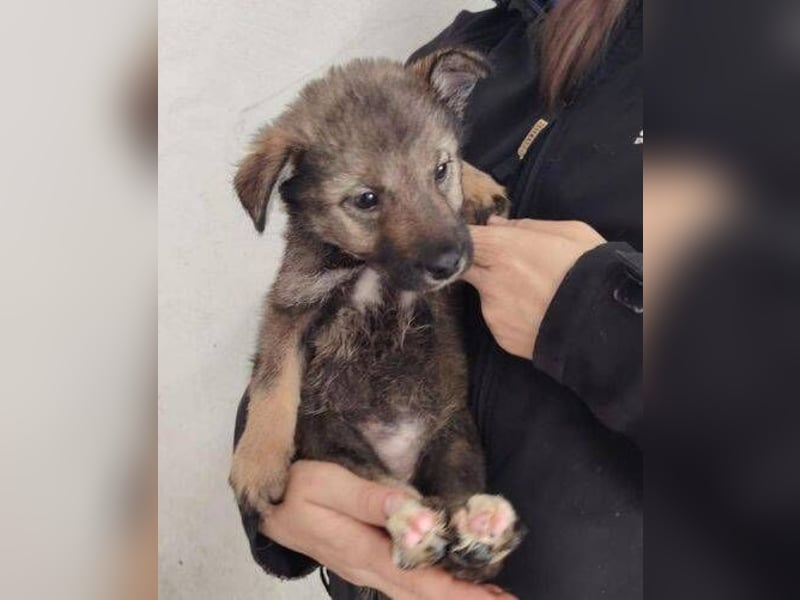 DUNJA das Baby wurde einfach zurück gelassen