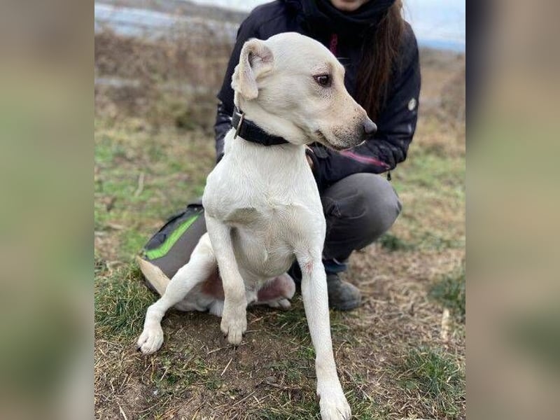 MAYLO braucht Liebe und Zuwendung