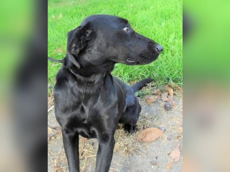 LUNA lechzt nach Liebe 