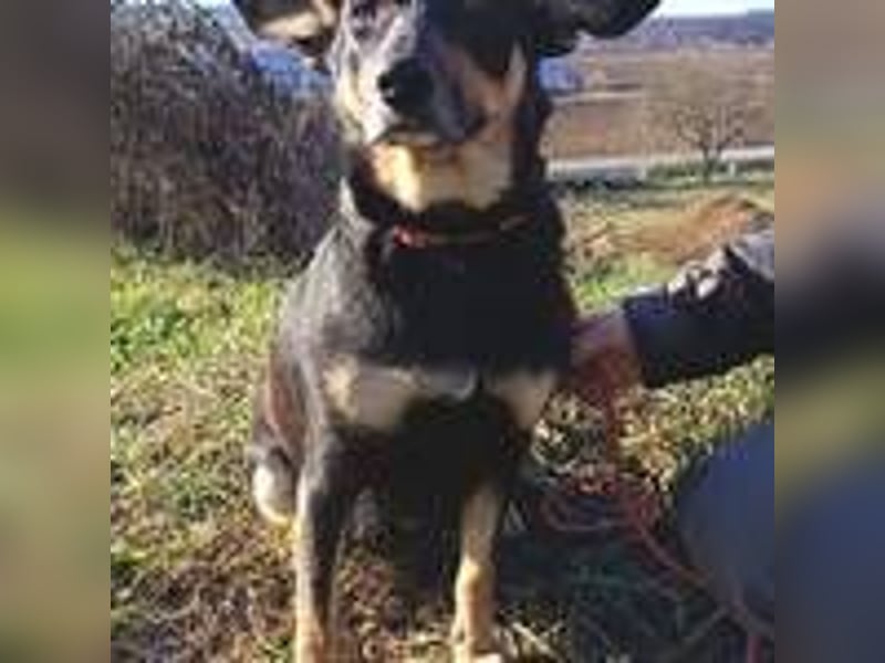 NORA 2 möchte ihr Herz verschenken 