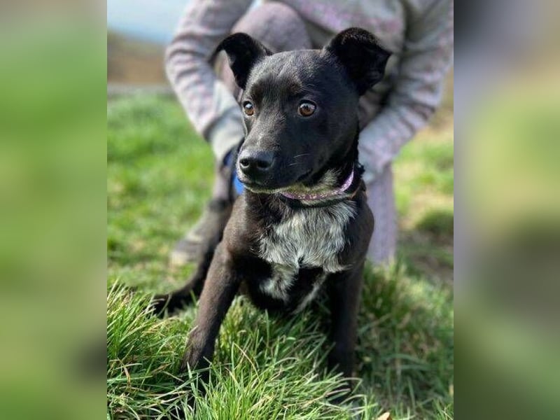HAPPY  wurde eiskalt ausgesetzt