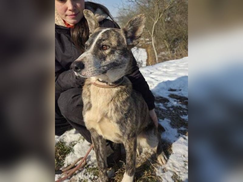 JUDY ist eine Schönheit