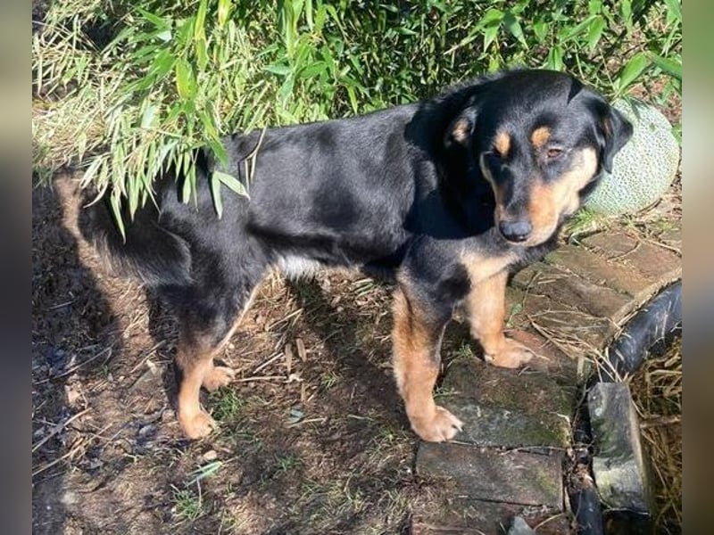 LENKA ist eine ganz sanft Seele