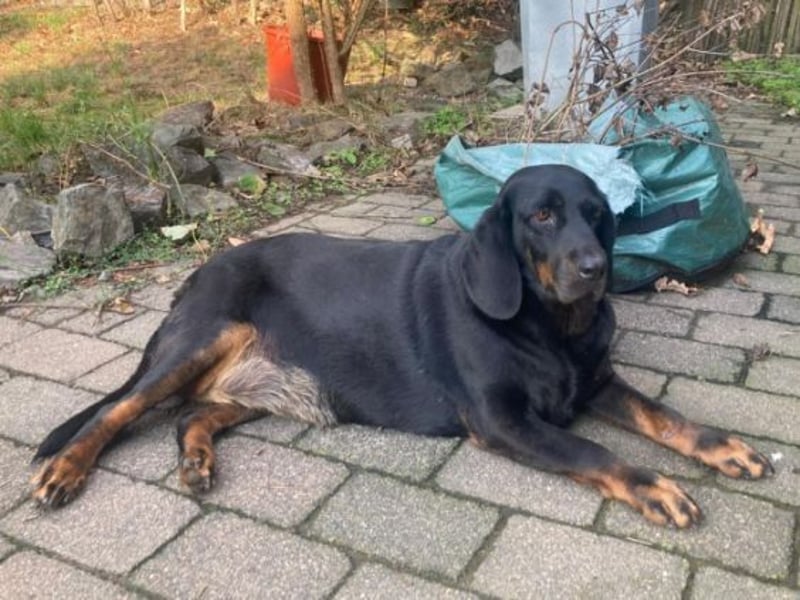 LENA ist ein zauberhaftes Wesen
