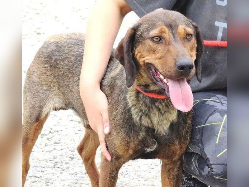 DONNIE braucht Lebensretter