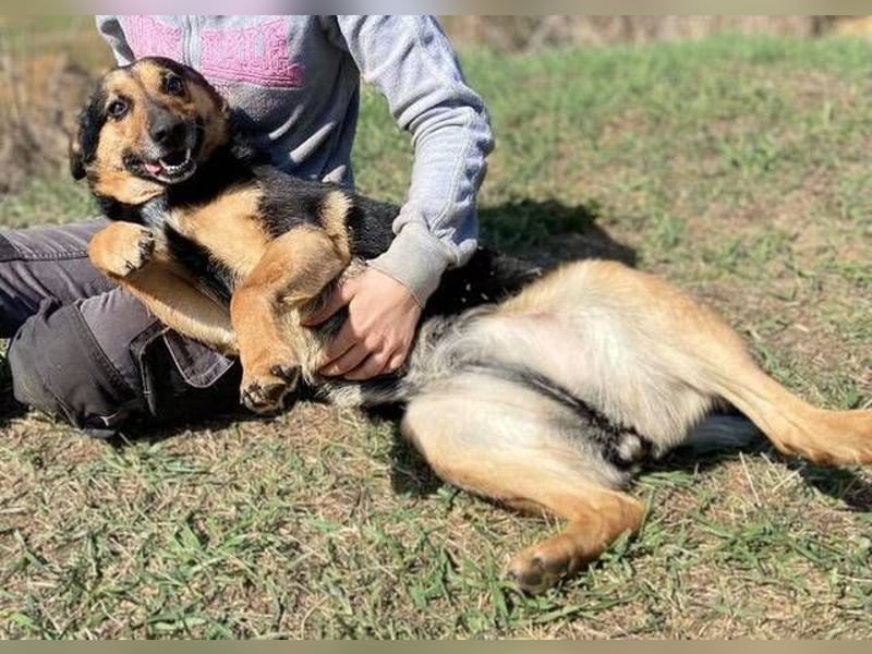 ALFA sehnt sich so nach einer Familie