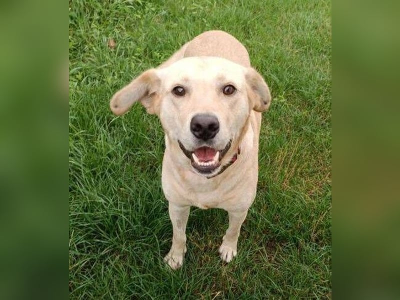 REXI ist ein Goldschatz REXI ist ein Goldschatz