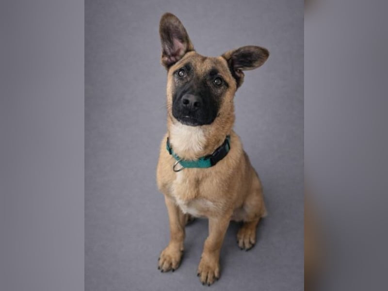 XARO verspielt und aufgeschlossen